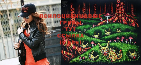 экстази Дмитриев