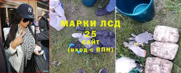прущие грибы Аркадак