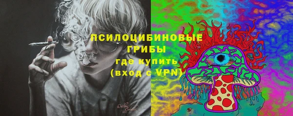 прущие грибы Аркадак