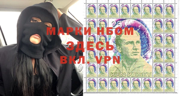 прущие грибы Аркадак