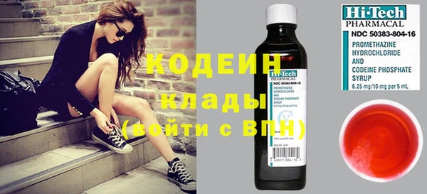 ГАЛЛЮЦИНОГЕННЫЕ ГРИБЫ Балахна
