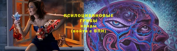 ГАЛЛЮЦИНОГЕННЫЕ ГРИБЫ Балахна