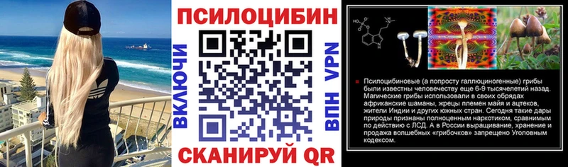 Галлюциногенные грибы мицелий  kraken онион  Шатура 